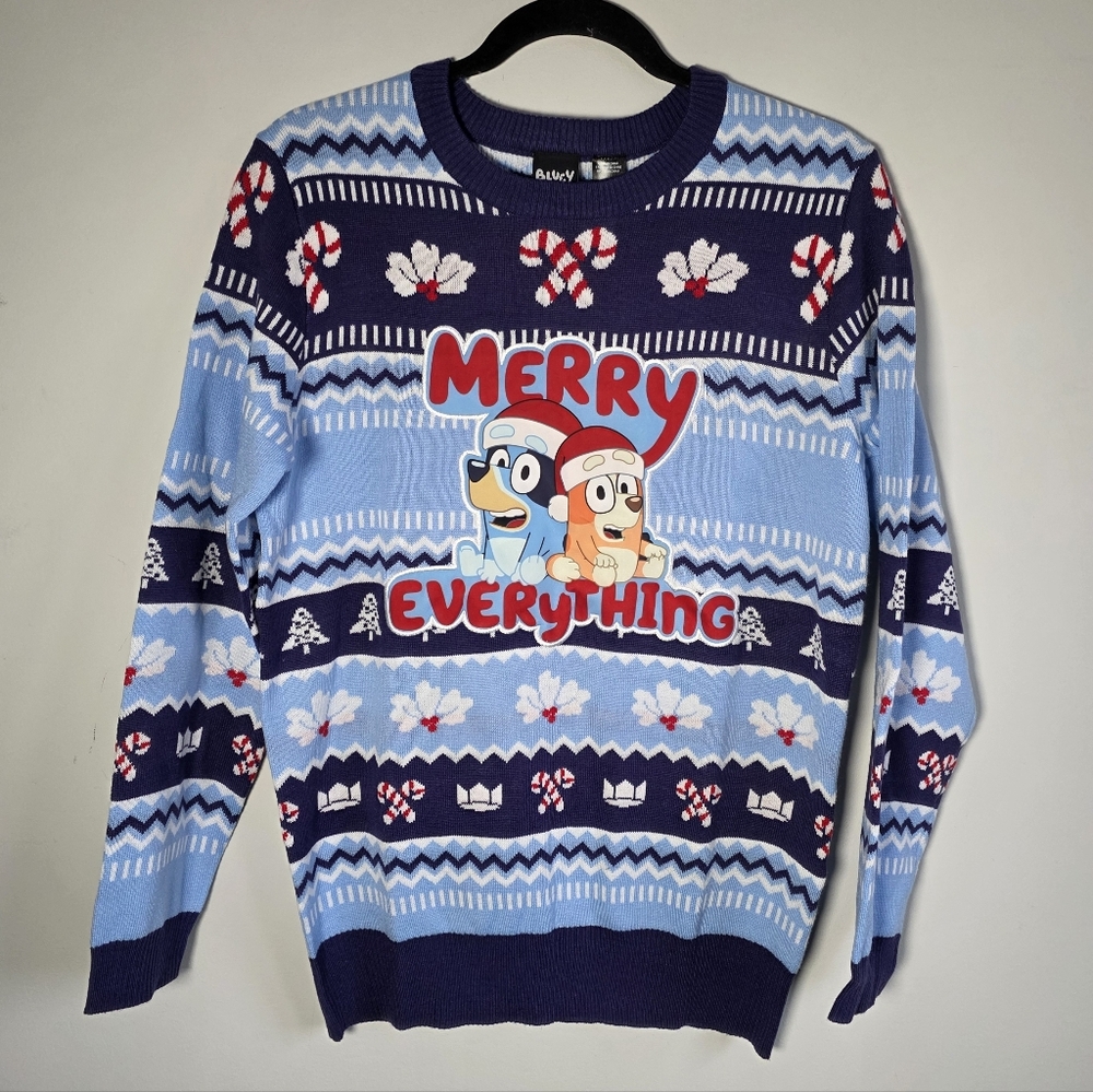 Bluey Merry Everything Ugly Christmas Sweater Holiday Knit Cartoon Pullover XXL